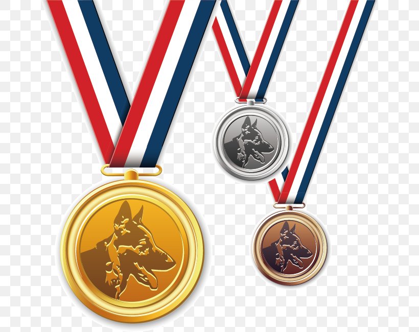 Gold Medal Cartoon, PNG, 660x650px, Medal, Award, Bronze Medal, Cartoon, Gold Medal Download Free