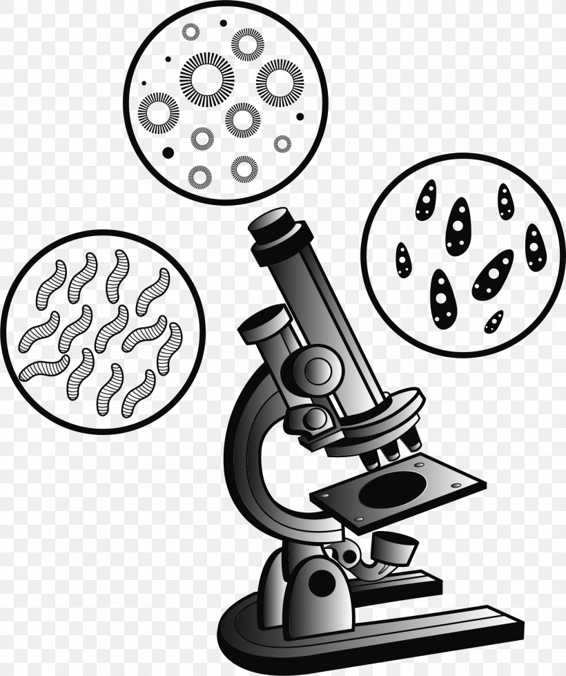 Microscope Clip Art, PNG, 1987x2373px, Microscope, Black And White, Communication, Drawing, Microscope Slides Download Free