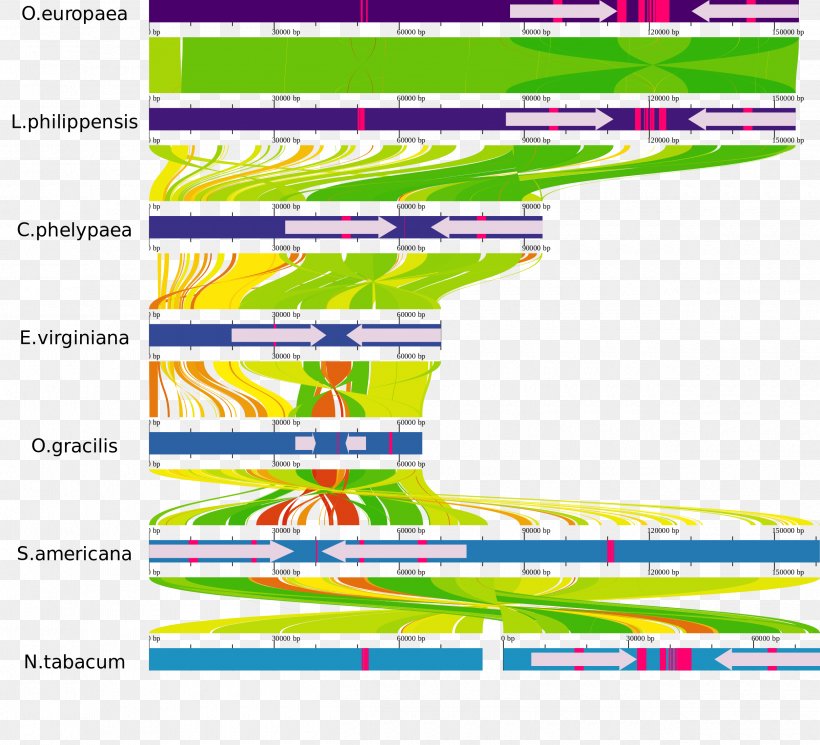 Parasitic Plant Genome Sequence Alignment Phylogenetic Tree, PNG, 2500x2273px, Parasitic Plant, Area, Chloroplast, Chromosome, Gene Download Free