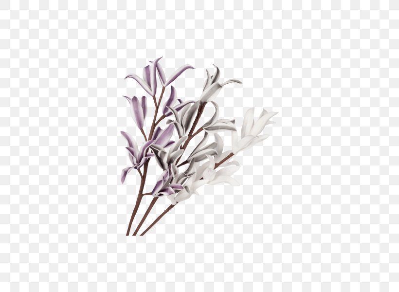 Twig Flower, PNG, 600x600px, Twig, Branch, Flower, Lavender, Lilac Download Free