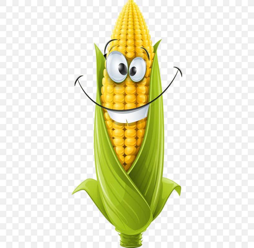 Corn On The Cob Corncob Maize Clip Art, PNG, 357x800px, Corn On The Cob, Banana, Banana Family, Commodity, Corn Kernel Download Free