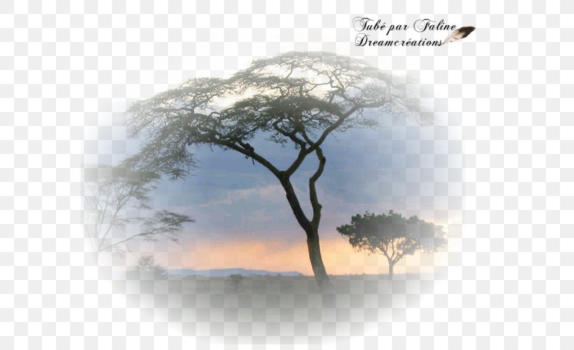 Création Graphique Landscape Photography Faline Desktop Wallpaper, PNG, 600x500px, Landscape, Africa, Book, Branch, Computer Download Free