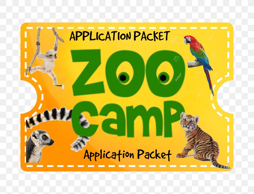 Dade City's Wild Things Animal Zoo Camp Nature, PNG, 688x625px, Animal, Area, Brand, Emergency, Hiking Download Free