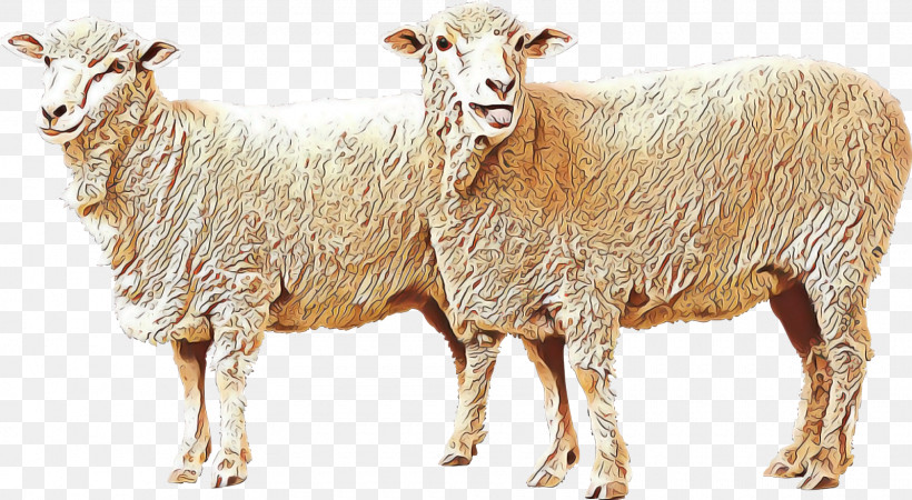 Goat Sheep Algarve Churro Livestock Sheep Milk, PNG, 1600x879px, Goat, Algarve Churro, Animal Husbandry, Caprinae, Fodder Download Free