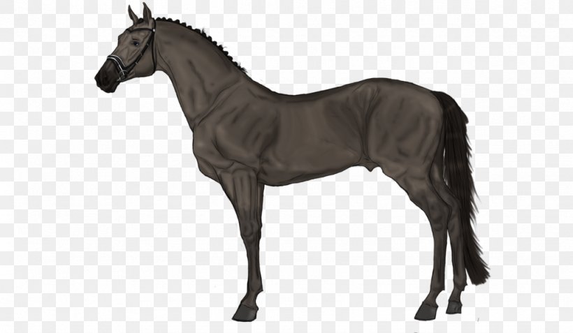 Horse Carpet R&G Equipment Blanket Sweet Itch, PNG, 1024x596px, Horse, Animal Figure, Blanket, Bridle, Carpet Download Free