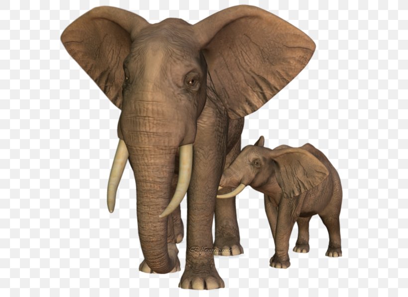 Indian Elephant African Elephant Wildlife Elephantidae, PNG, 600x598px, Indian Elephant, African Elephant, Animal, Elephant, Elephantidae Download Free