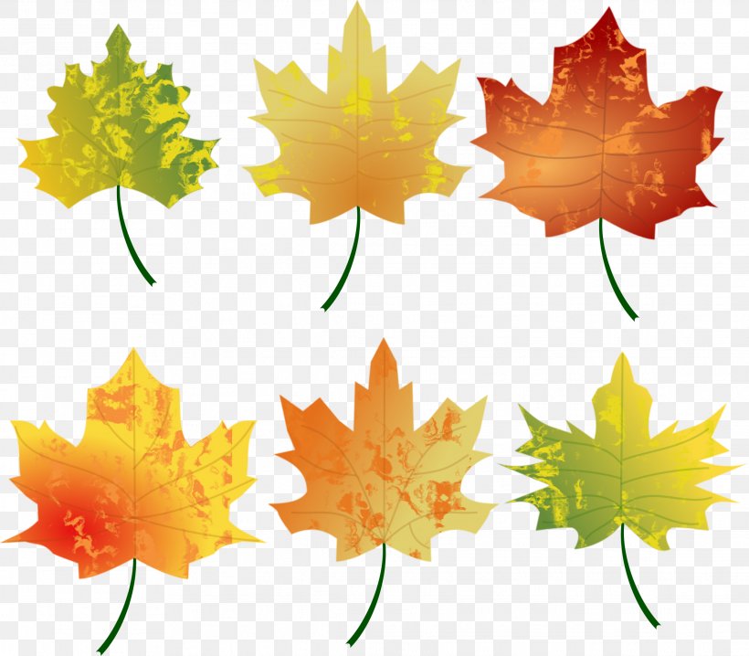 Autumn Leaf Color Autumn Leaf Color Clip Art, PNG, 2281x1998px, Autumn, Autumn Leaf Color, Blog, Color, Flowering Plant Download Free
