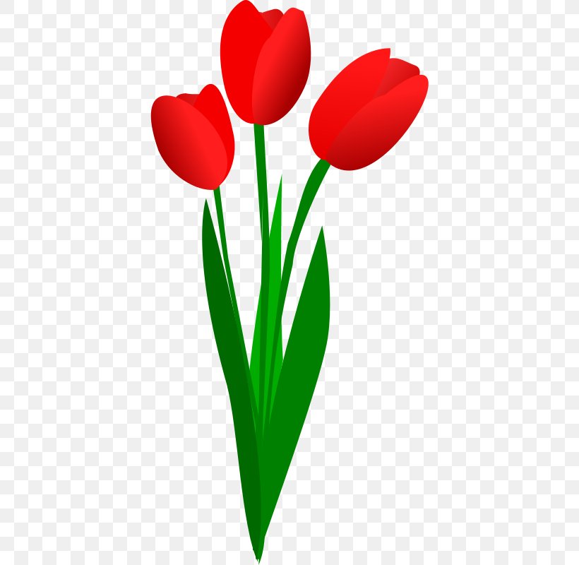 Clip Art Openclipart Tulip Flower, PNG, 394x800px, Tulip, Artwork, Cartoon, Floral Design, Flower Download Free