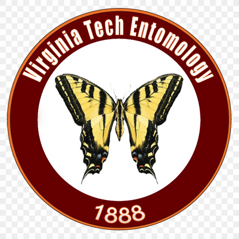 Engineer SDN Dabasah 3 Bondowoso Job North Carolina United Kingdom, PNG, 1200x1200px, Engineer, Brush Footed Butterfly, Butterfly, Engineering, Insect Download Free