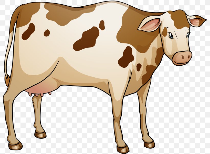Lakenvelder Cattle Dairy Cattle Illustration, PNG, 800x603px, Lakenvelder Cattle, Bull, Cattle, Cattle Like Mammal, Cow Goat Family Download Free