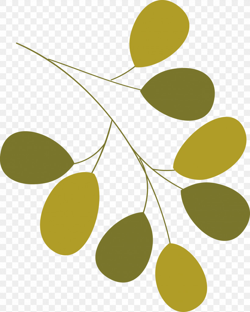 Plant Stem Leaf Branch Fruit Line, PNG, 2514x3137px, Plant Stem, Biology, Branch, Fruit, Leaf Download Free