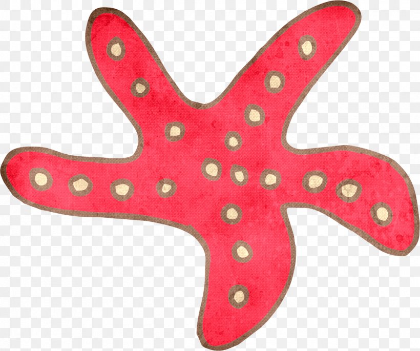 Starfish, PNG, 1241x1037px, Starfish, Drawing, Echinoderm, Gratis, Invertebrate Download Free