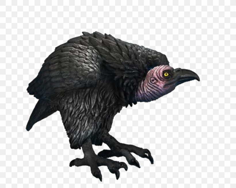 Bird Turkey Vulture Beaky Buzzard, PNG, 999x799px, Bird, Beak, Beaky Buzzard, Bearded Vulture, Bird Of Prey Download Free