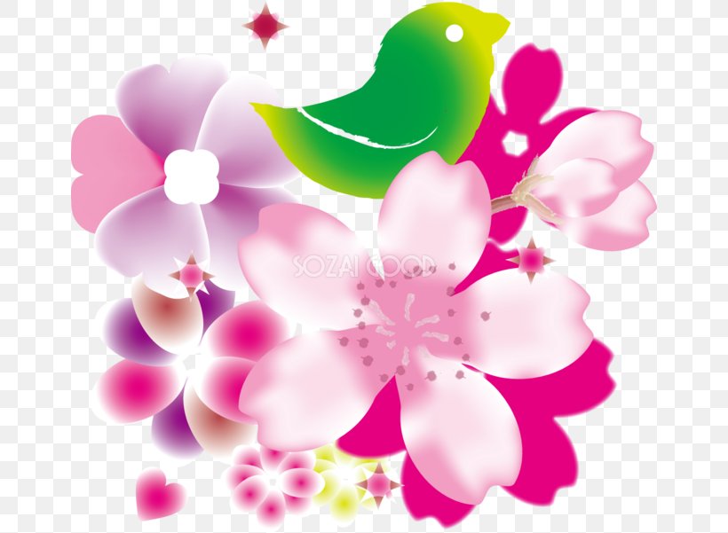 Cherry Blossom 日本の中小企業: 少子高齢化時代の起業・経営・承継 原発棄民: フクシマ5年後の真実 Flower, PNG, 660x601px, Cherry Blossom, Blossom, Color, Floral Design, Flower Download Free