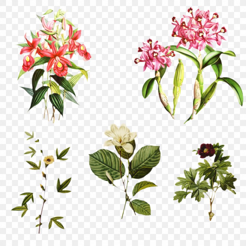 Flowers Background, PNG, 1024x1024px, Cut Flowers, Branch, Cestrum, Daphne, Floral Design Download Free