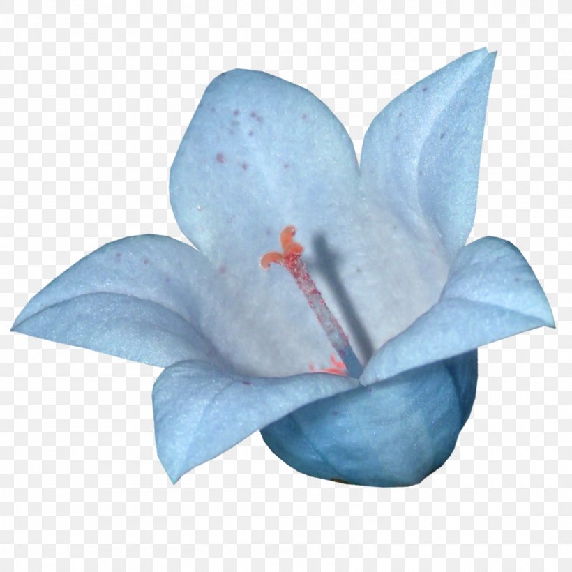 Blue Lilium Clip Art, PNG, 1500x1500px, Blue, Flower, Light Blue, Lilium, Petal Download Free