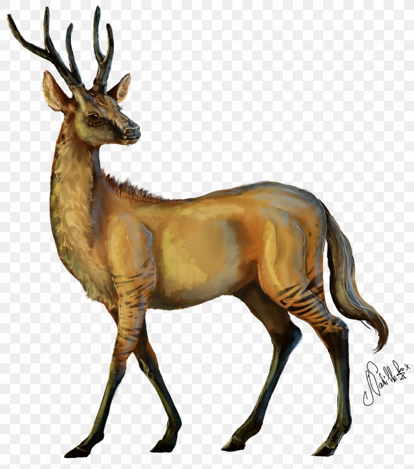 Elk Reindeer Musk Deers Antelope, PNG, 1000x1133px, Elk, Animal, Antelope, Antler, Deer Download Free
