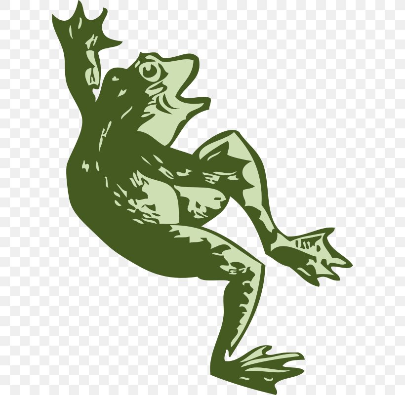 Frog Stock.xchng Clip Art, PNG, 800x800px, Frog, Amphibian, Art, Dance, Fauna Download Free