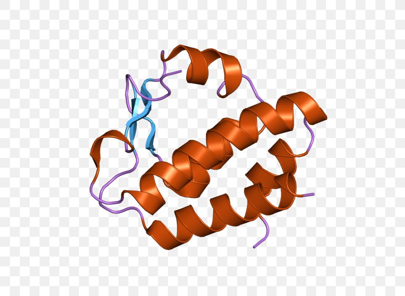 NGLY1 Peptide-N4-(N-acetyl-beta-glucosaminyl)asparagine Amidase ase F N-glycanase 1, PNG, 800x600px, Pngase F, Asparagine, Crystal Structure, Enzyme, Ethan Carter Iii Download Free