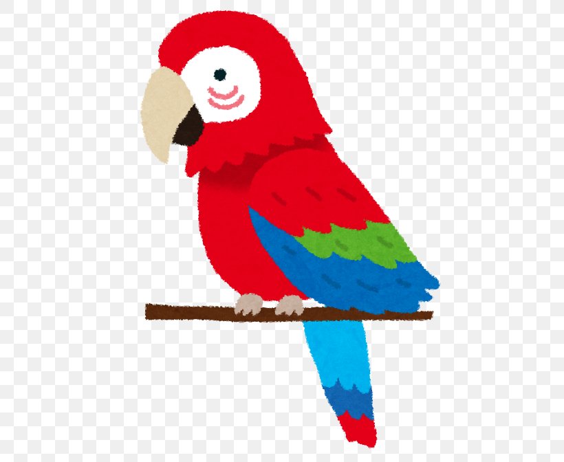 Bird Person Cockatoo Echolalia Parrots, PNG, 554x672px, Bird, Art, Beak, Child, Cockatoo Download Free