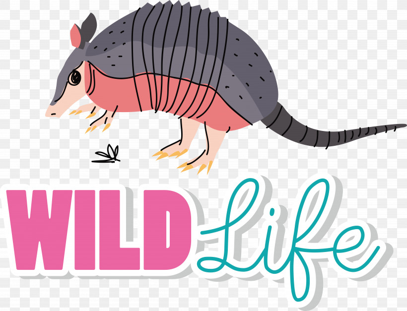 Cingulata Armadillos Cartoon Snout Meter, PNG, 6764x5179px, Cingulata, Armadillos, Cartoon, Meter, Snout Download Free