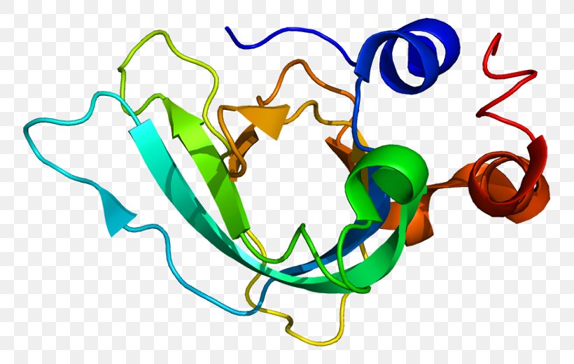 TIMP1 Tissue Inhibitor Of Metalloproteinase Matrix Metalloproteinase Enzyme Inhibitor, PNG, 803x520px, Watercolor, Cartoon, Flower, Frame, Heart Download Free
