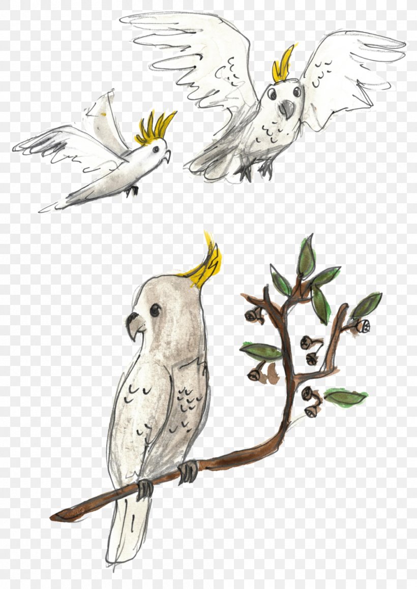 Animal Alphabet Adventures Cockatoo Hawk, PNG, 1000x1414px, Cockatoo, Alphabet, Animal, Art, Beak Download Free