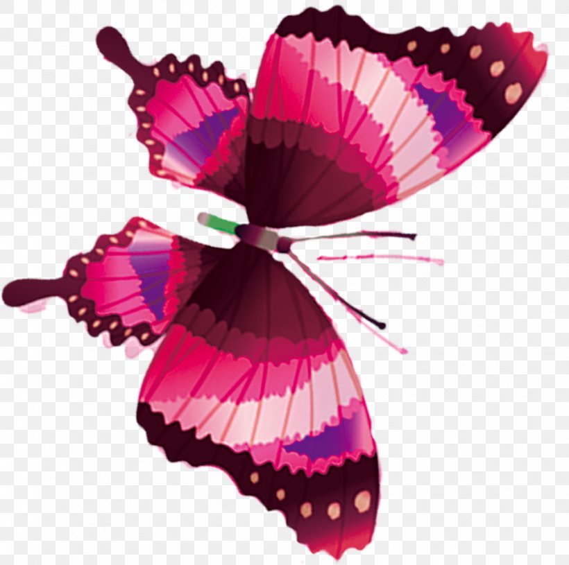 Butterfly Flower Icon, PNG, 957x952px, Butterfly, Arthropod, Drawing, Flower, Gratis Download Free