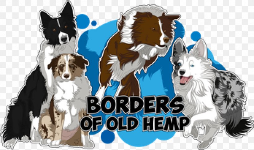 Dog Breed Border Collie Rough Collie Old Hemp, PNG, 999x589px, Dog Breed, Animal Breeding, Border Collie, Breed, Carnivoran Download Free