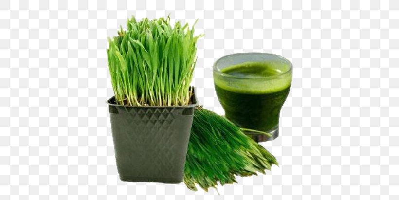 Juicer Smoothie Wheatgrass Raw Foodism, PNG, 628x411px, Juice, Commodity, Common Wheat, Drink, Flowerpot Download Free