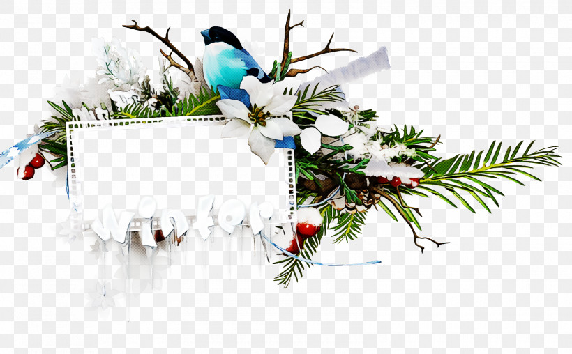 Christmas Frame Christmas Border Christmas Decor, PNG, 1600x992px, Christmas Frame, Bird, Branch, Christmas, Christmas Border Download Free