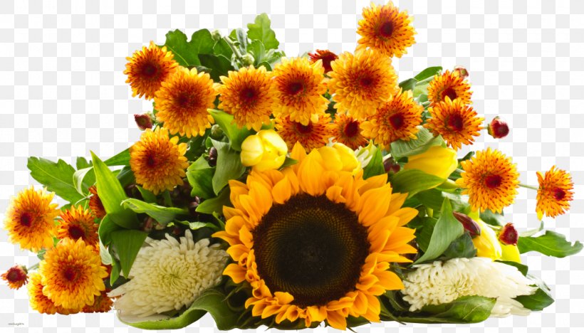 Common Sunflower Flower Bouquet Desktop Wallpaper, PNG, 1280x732px, Common Sunflower, Annual Plant, Cut Flowers, Daisy Family, Drawing Download Free