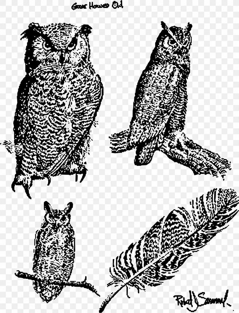 Great Horned Owl Bird Of Prey Snowy Owl, PNG, 1764x2310px, Owl, Animal, Art, Beak, Bird Download Free