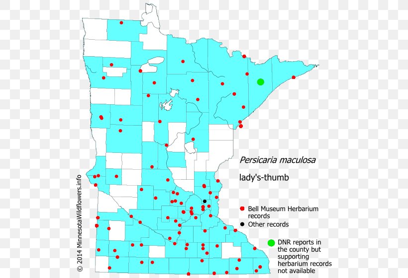 Line Point Map Tuberculosis, PNG, 522x560px, Point, Area, Diagram, Map, Tuberculosis Download Free