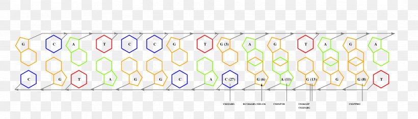 Line Point Pattern, PNG, 3333x958px, Point, Area, Diagram, Material, Rectangle Download Free