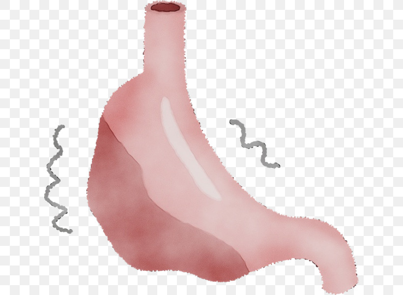 Pink Nose Finger Plant Thumb, PNG, 640x600px, Watercolor, Finger, Nose, Paint, Pink Download Free