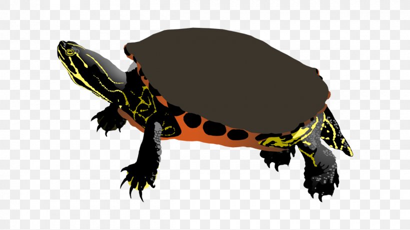 Tortoise Amphibian Terrestrial Animal, PNG, 1200x675px, Tortoise, Amphibian, Animal, Animal Figure, Fauna Download Free