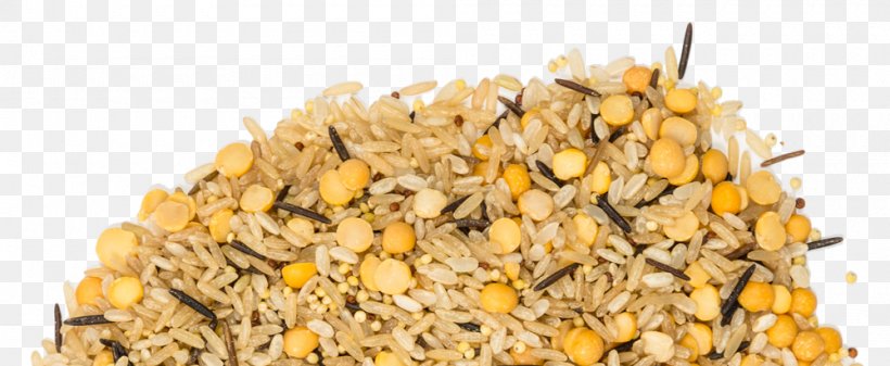 Cereal Germ Vegetarian Cuisine Superfood, PNG, 1000x411px, Cereal Germ, Cereal, Commodity, Embryo, Food Download Free