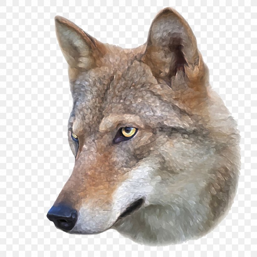 Dog Eurasian Wolf Arctic Wolf Drawing Photography, PNG, 900x900px, Dog, Animal, Arctic Wolf, Carnivoran, Coyote Download Free