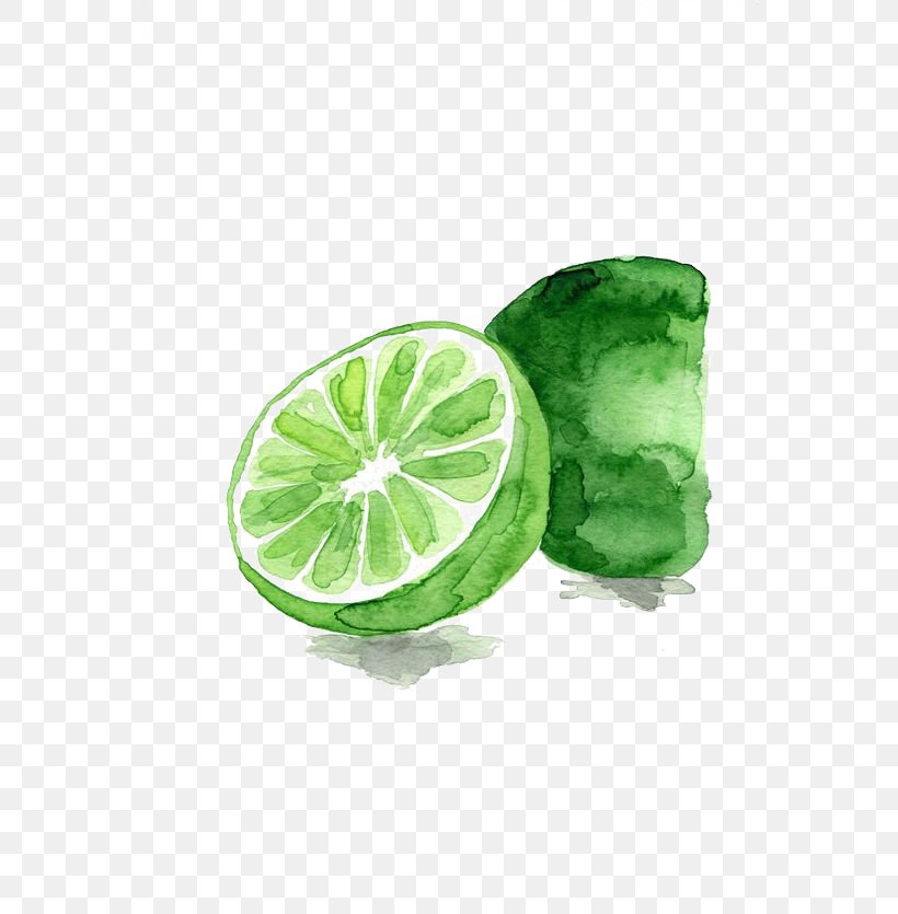 Lemon-lime Drink Watercolor Painting Fruit, PNG, 564x835px, Watercolor Painting, Art, Canvas, Citric Acid, Citrus Download Free