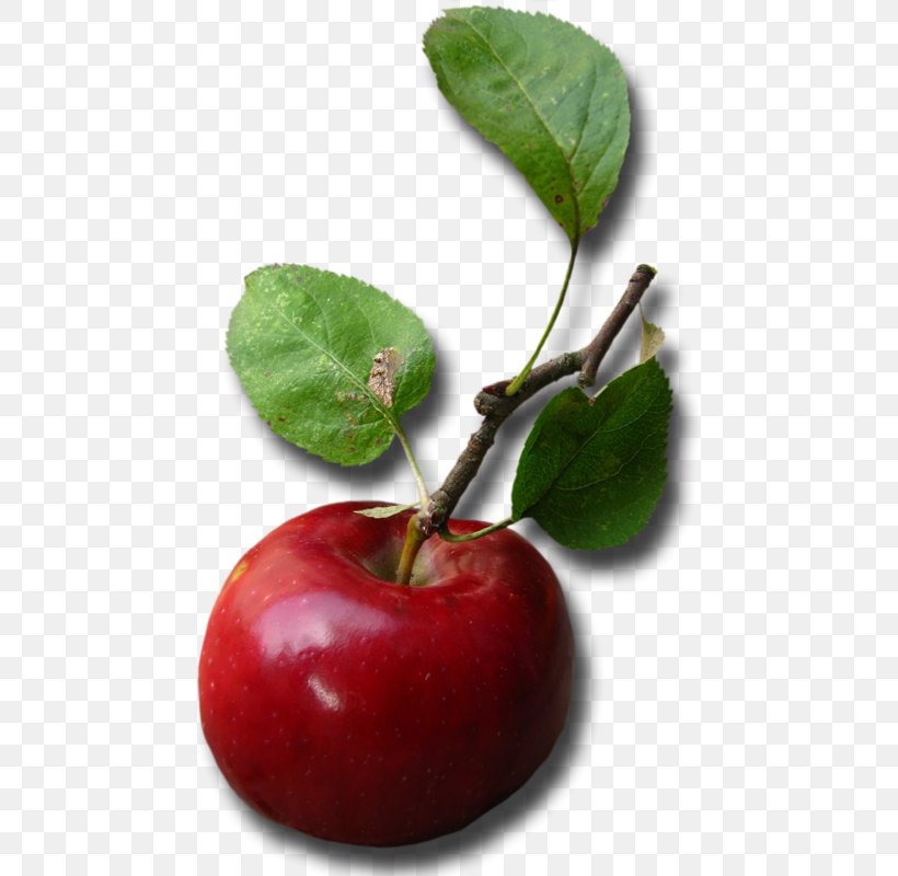 Apple Food Color Clip Art, PNG, 465x800px, Apple, Acerola, Acerola Family, Cherry, Color Download Free