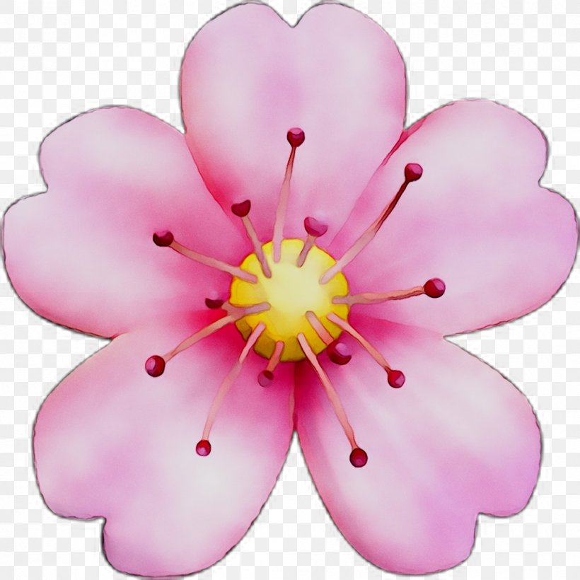 Cherry Blossom ST.AU.150 MIN.V.UNC.NR AD Flowering Plant Cherries, PNG, 1044x1044px, Cherry Blossom, Blossom, Cherries, Flower, Flowering Plant Download Free