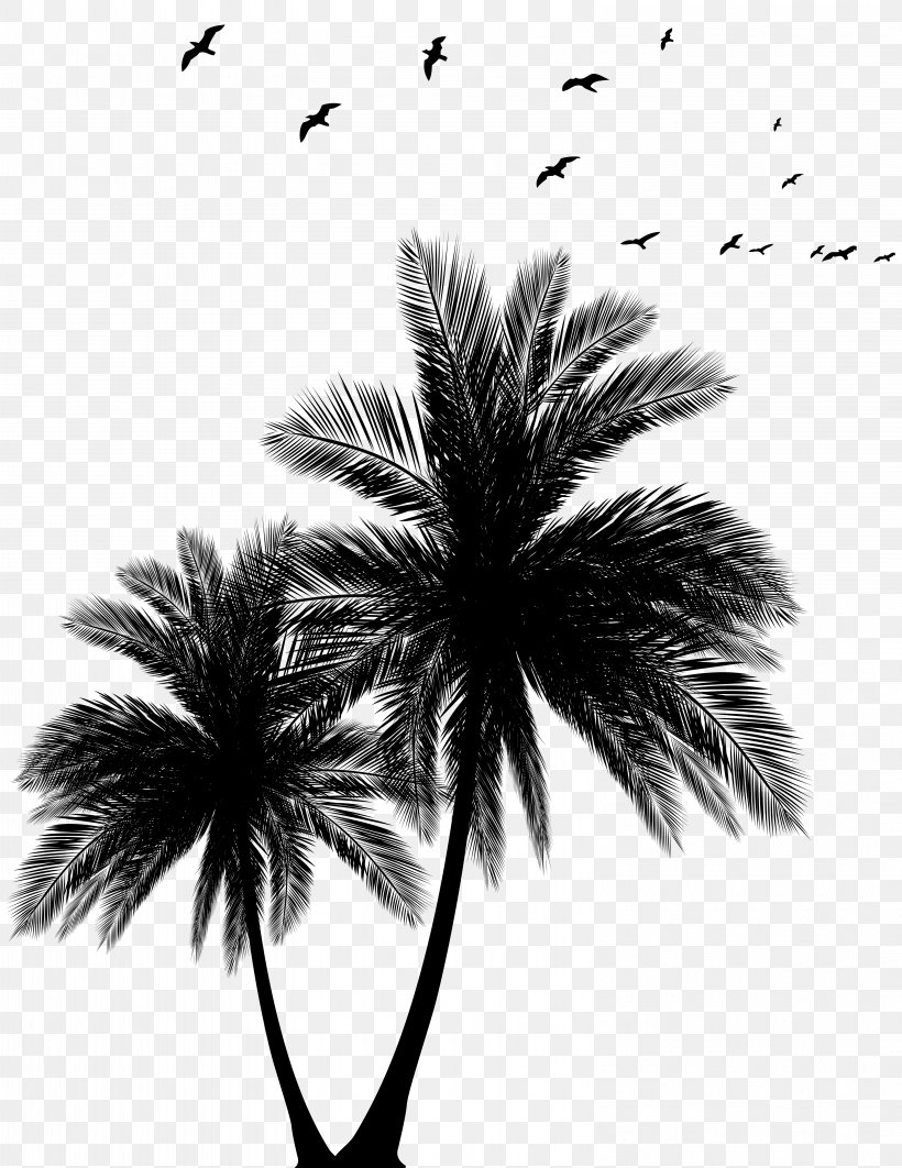 Evening Afternoon Clip Art, PNG, 6175x8000px, Evening, Afternoon, Arecales, Black And White, Branch Download Free