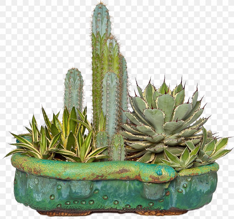 Flowerpot Succulent Plant Cactaceae Aloe Clip Art, PNG, 1000x940px, Flowerpot, Aloe, Cactaceae, Cactus, Cactus Garden Download Free