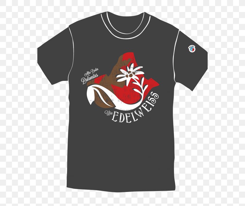 T-shirt Hoodie Green Day Clothing, PNG, 570x688px, Tshirt, Black, Bluza, Brand, Clothing Download Free