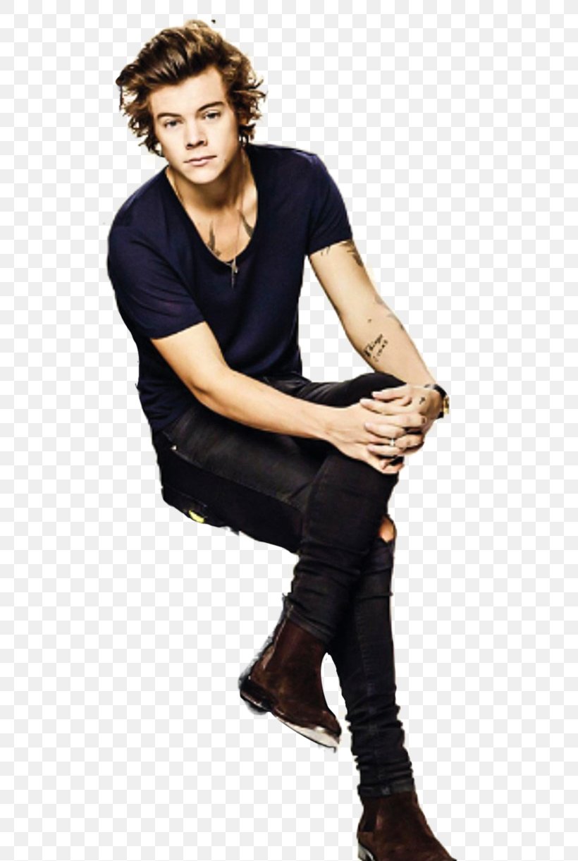Harry Styles One Direction You & I The X Factor, PNG, 654x1221px, Watercolor, Cartoon, Flower, Frame, Heart Download Free