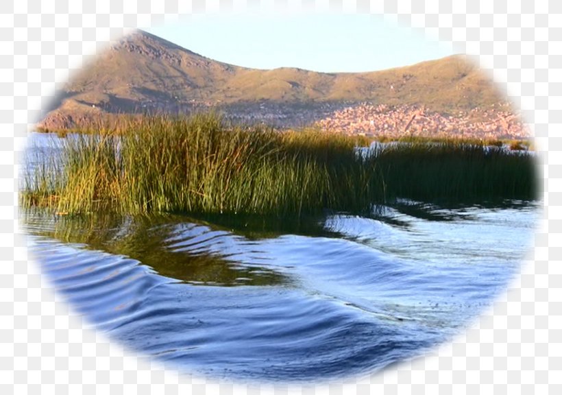 Isla Del Sol Lake Titicaca Inka Express Loch, PNG, 768x576px, Lake Titicaca, Bolivia, Grass, Ideal, Inlet Download Free