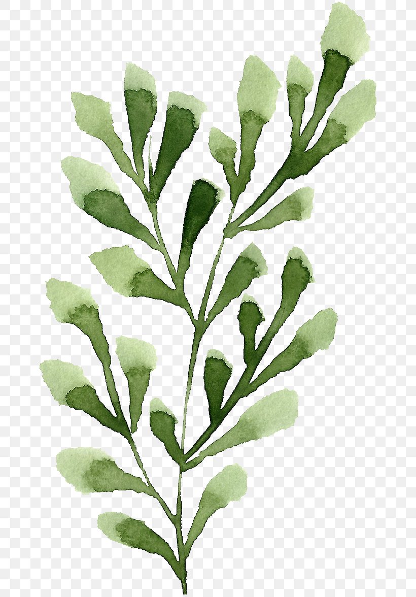 Leaf Twig Plant Stem, PNG, 680x1176px, Leaf, Branch, Designer, Google Images, Green Download Free