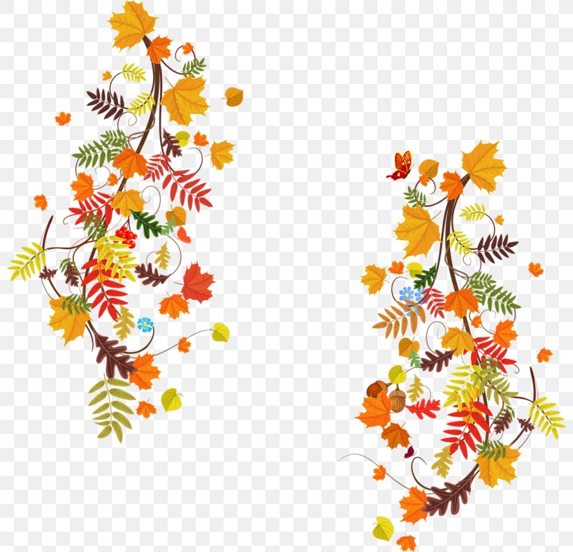 Autumn Leaf Color Autumn Leaf Color Floral Design, PNG, 800x789px, Leaf, Art, Autumn, Autumn Leaf Color, Branch Download Free