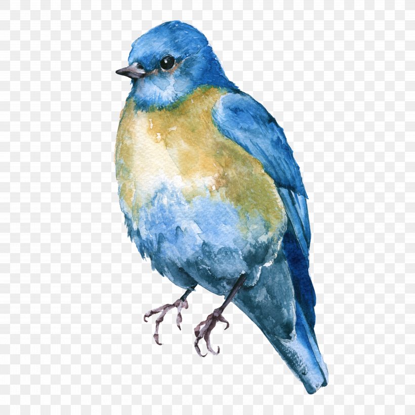 Bird Bluebird Eastern Bluebird Mountain Bluebird Beak, PNG, 5000x5000px, Bird, Beak, Bluebird, Eastern Bluebird, Indigo Bunting Download Free